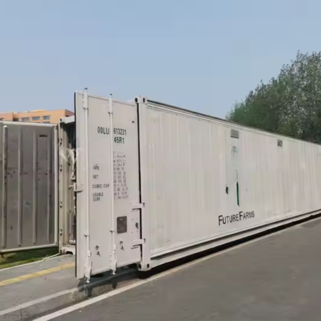 Urban Farm Hydroponic Vegetable System in Freight Container