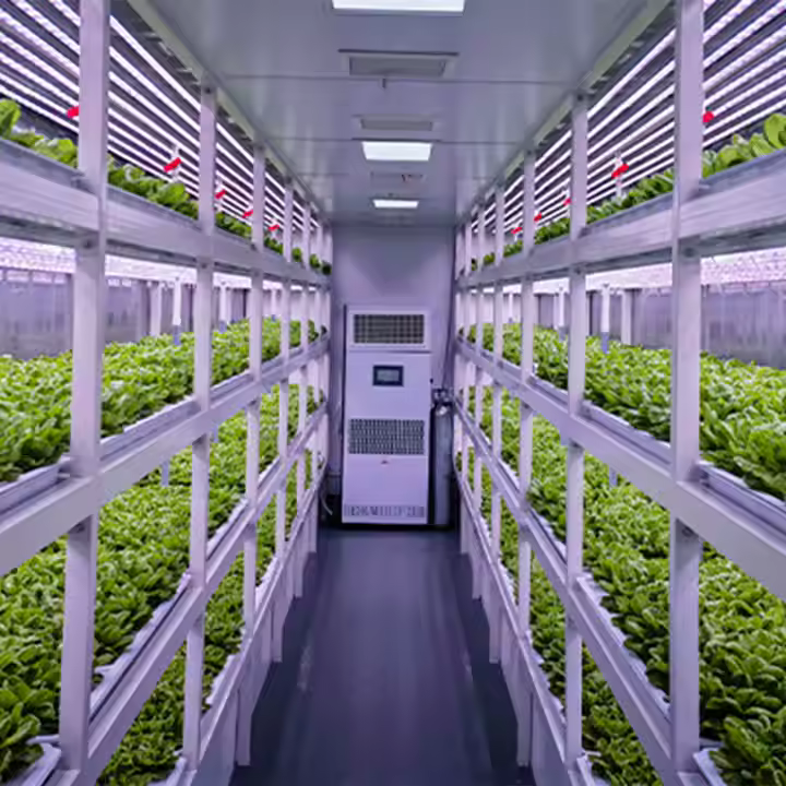 Customized Vertical Farming Hydroponics Growing System Urban Roof Farm