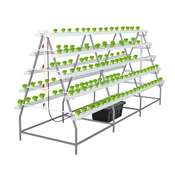 Strawberry Greenhouse NFT Hydroponic System for Efficient Growing