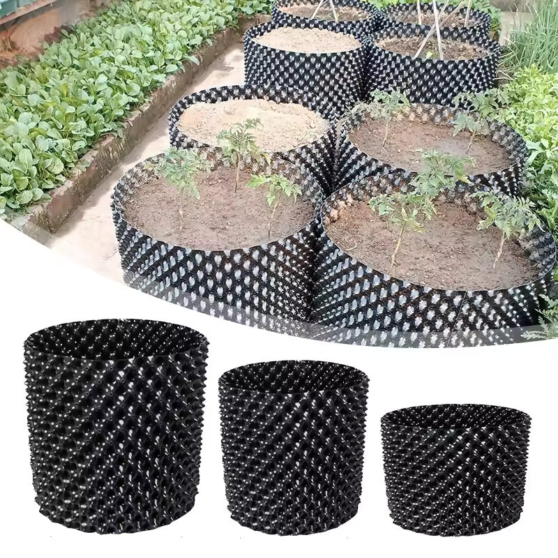 Air Pruning Plant Root