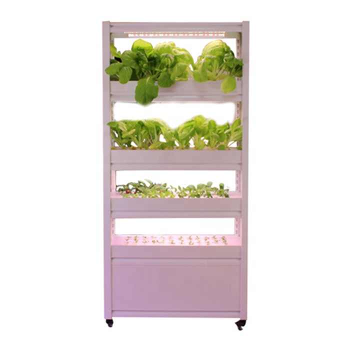 Urban Farm with 4-Layer Nutrient Film Hydroponic System